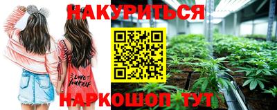 спайс Будённовск
