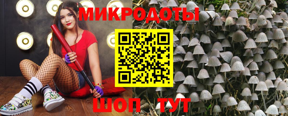 Псилоцибиновые грибы ЛСД Новошахтинск