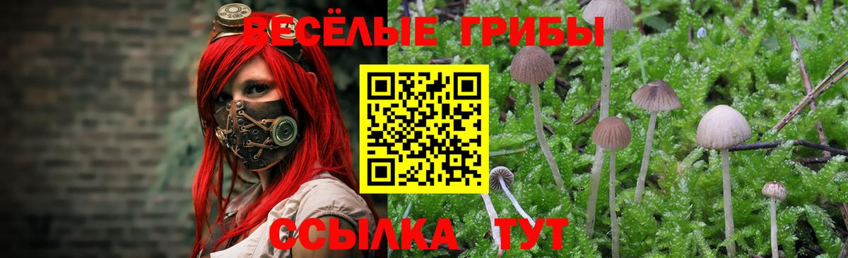 Новошахтинск  Псилоцибиновые грибы Psilocybe  Галлюциногенные грибы GOLDEN TEACHER  Вход с VPN 